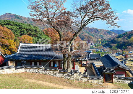 秋の南漢山城行宮【韓国/京畿道】 秋の南漢山城行宮【韓国/京畿道】 120245774