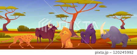 African animal. Zoo park. Safari in Africa. Funny jungle character. Wild lion and rhino. Gorilla monkey. Nature cartoon landscape. Wilderness scenery. Cute wildlife. Vector savanna fauna background 120245992