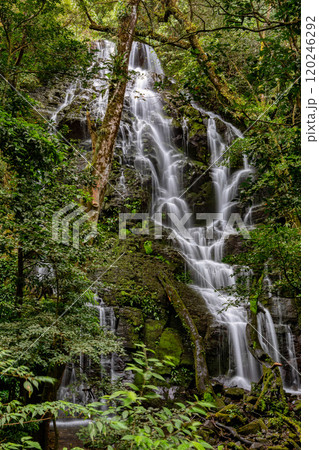 Waterfall in deep forest, Rincon de la Vieja National Costa Rica landscape 120246292