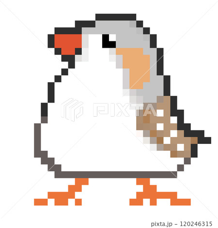 ドット絵 アニマルイラスト キンカチョウのオス ペンギン 120246315