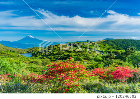 【静岡県】満開の山ツツジが美しい箱根玄岳から眺める富士山 120246502