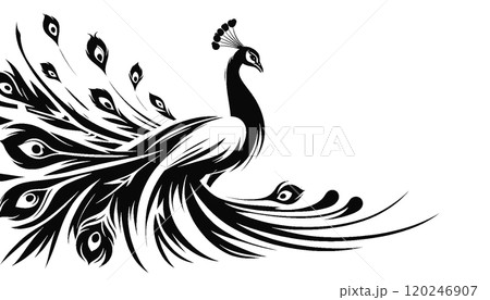 シンプルなクジャク（背景透過） 120246907