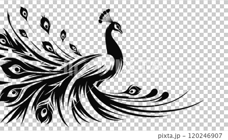 シンプルなクジャク（背景透過） 120246907