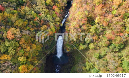 紅葉の宮城蔵王 空撮 紅葉の宮城蔵王 空撮 120246917