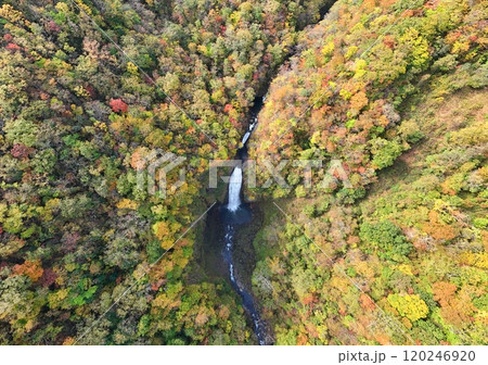紅葉の宮城蔵王　空撮 120246920