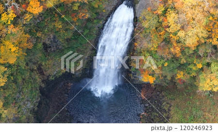 紅葉の宮城蔵王 空撮 紅葉の宮城蔵王 空撮 120246923