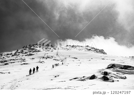 中岳を下る登山者　残雪期の木曽駒ヶ岳登山ツアー　新聞広告用 120247197