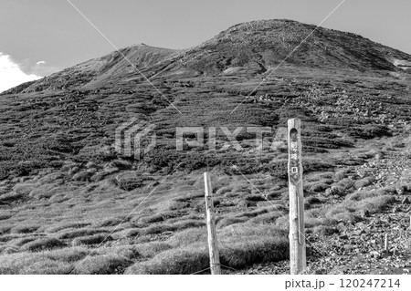 肩ノ小屋から見る剣ヶ峰の山頂　乗鞍岳登山ツアー　新聞広告用 120247214