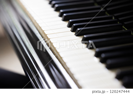 ピアノ 鍵盤 ピアノ 鍵盤 120247444