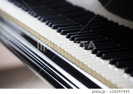 ピアノ　鍵盤 120247445