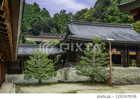 大津 近江神宮 社殿 滋賀県大津市 大津 近江神宮 社殿 滋賀県大津市 120247636