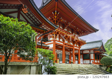 大津 近江神宮 楼門 滋賀県大津市 大津 近江神宮 楼門 滋賀県大津市 120247663