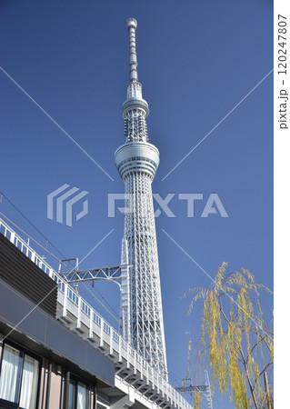 東京スカイツリー 東京スカイツリー 120247807