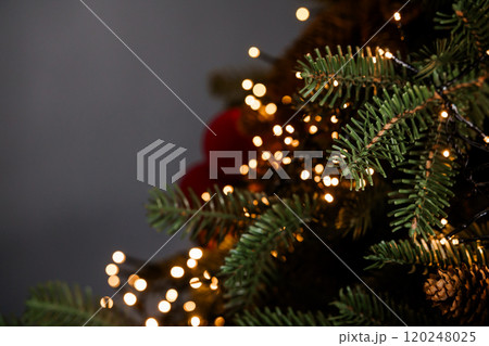 Sparkling Holiday Lights on a Christmas Tree Close-Up Sparkling Holiday Lights on a Christmas Tree Close-Up 120248025