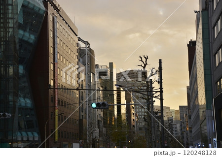 【東京】原宿夕景 【東京】原宿夕景 120248128