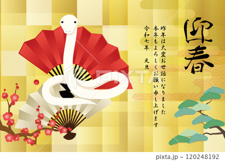 白いへび、扇、松と梅の花、金色の背景の年賀状イラスト 120248192