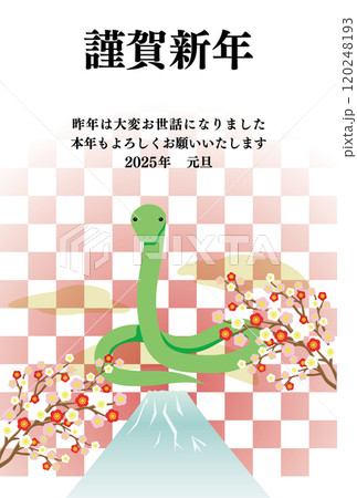 へび、富士山、市松模様の背景の年賀状イラスト 120248193