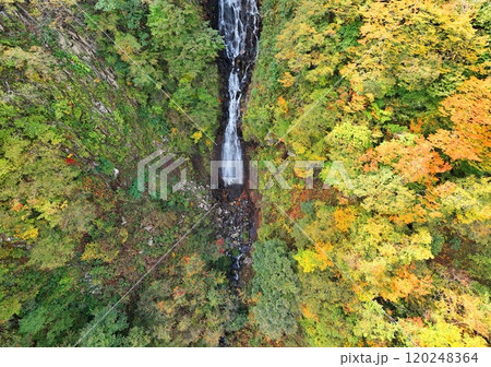 紅葉の宮城蔵王　空撮 120248364