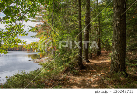 Lakeside path in northern forest of Canada. Lakeside path in northern forest of Canada. 120248713