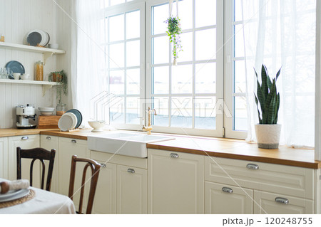Scandinavian classic minimalistic kitchen with white and wooden details flowers. Modern white kitchen clean contemporary style interior design. Empty bright white interior minimal of kitchen 120248755