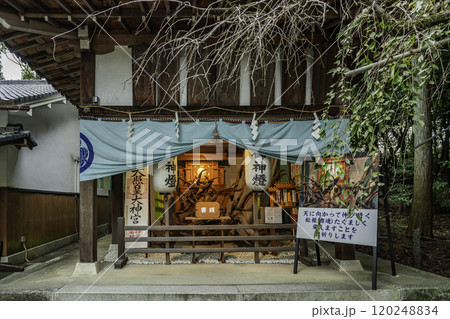 大津　建部大社　松根（商魂）　滋賀県大津市 120248834