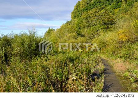 十勝川の河川敷（千代田堰堤付近にて 120248872