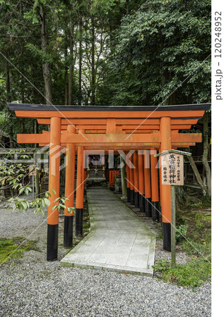 大津 建部大社 武富稲荷神社 滋賀県大津市 大津 建部大社 武富稲荷神社 滋賀県大津市 120248952