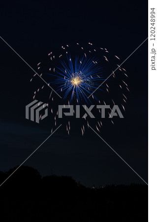 柴又納涼花火大会2024 120248994