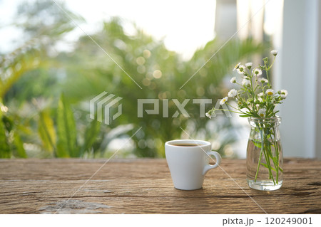 White coffee cup with daisy on wooden table under sunlight on wood table White coffee cup with daisy on wooden table under sunlight on wood table 120249001
