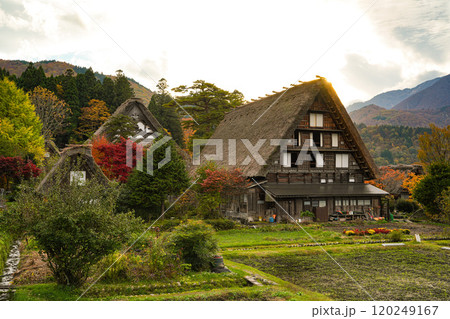 白川郷　紅葉 120249167