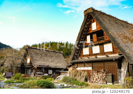 白川郷 紅葉 白川郷 紅葉 120249170