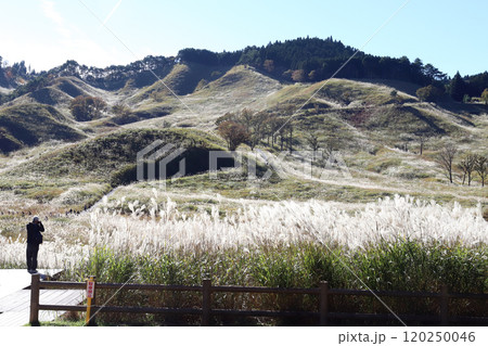 砥峰高原の秋（兵庫県 神崎郡 神河町） 120250046