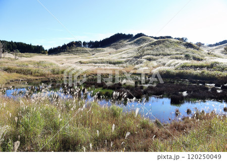 砥峰高原の秋(兵庫県 神崎郡 神河町) 砥峰高原の秋(兵庫県 神崎郡 神河町) 120250049