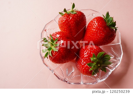 とっても美味しい苺をお皿にのせた 120250239