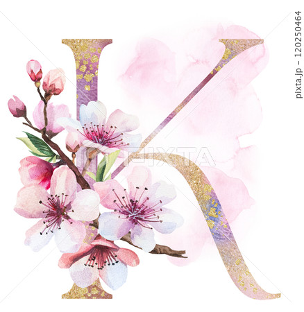 Watercolor and golden letter K with pink cherry flowers and buds, wedding sakura isolated element Watercolor and golden letter K with pink cherry flowers and buds, wedding sakura isolated element 120250464