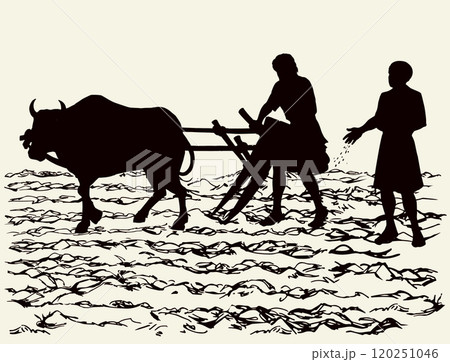 Vector drawing. Old wooden plow 120251046