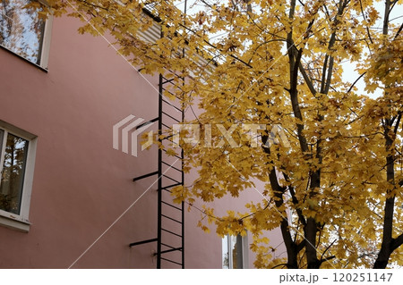 vertical antique fire escape made of black metal, attached to wall of old brick pink house. vertical antique fire escape made of black metal, attached to wall of old brick pink house. 120251147