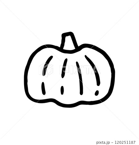 Pumpkin Pumpkin 120251187