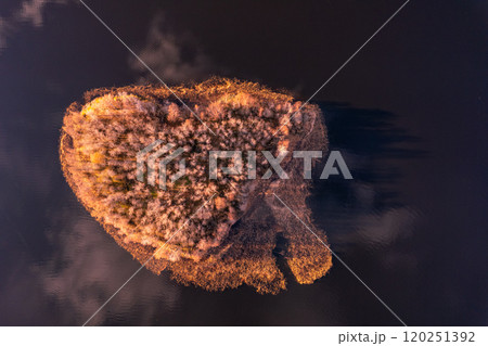 Aerial top view to heart island overgrown with sparse trees in summer sunny day. Skerries Ladoga lake consisting of 650 rocky islands and steep cliffs. National park, Karelia, Russian nature. 120251392