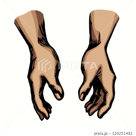 Young human hands. Vector drawing Young human hands. Vector drawing 120251482