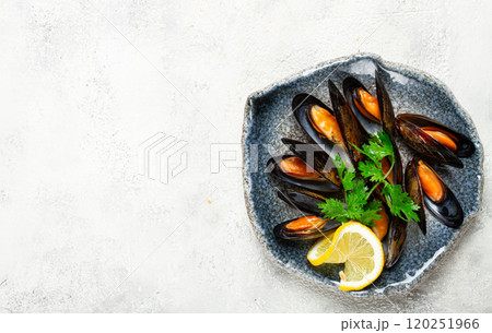 mussels in shells, boiled in their own juice, in a bowl, gray background, top view, homemade , no people, mussels in shells, boiled in their own juice, in a bowl, gray background, top view, homemade , no people, 120251966