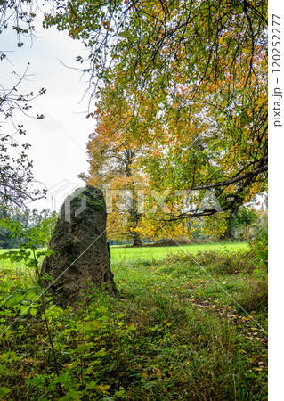 Autumn view at Bernrieder Park on Lake Starnberg, Bavaria, Upper Bavaria, Germany 120252277