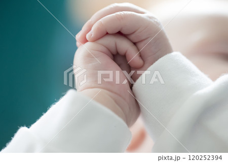Hands of a baby close-up. Newborn hands. 120252394