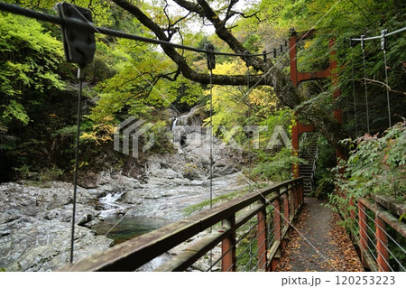 【奈良県天川村】みたらい渓谷ウォーキングコース 120253223