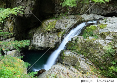 【奈良県天川村】みたらい渓谷ウォーキングコース 120253238