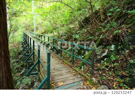【奈良県天川村】みたらい渓谷ウォーキングコース 【奈良県天川村】みたらい渓谷ウォーキングコース 120253247