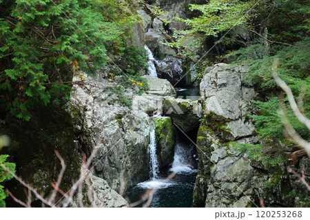 【奈良県天川村】みたらい渓谷ウォーキングコース 120253268