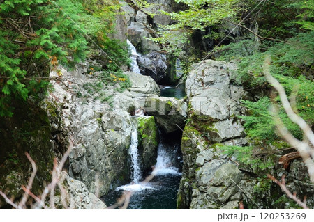 【奈良県天川村】みたらい渓谷ウォーキングコース 120253269