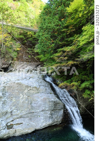 【奈良県天川村】みたらい渓谷ウォーキングコース 120253273