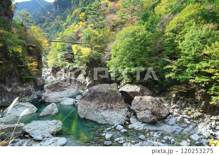 【奈良県天川村】みたらい渓谷ウォーキングコース 120253275